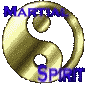 Martial Spirit